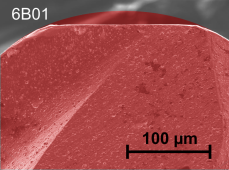 Bild des Projekts SFB 747: Mikrokaltumformen - TP C2 ''Oberflchenoptimierung''