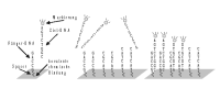 bioinf-optimierung