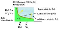 Schematische Darstellung der Karbonatisierungsfront in einem Betonbauteil.